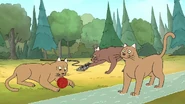 We Bare Bears