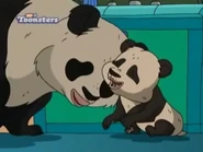 The Wild Thornberrys