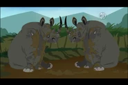 Wild Kratts