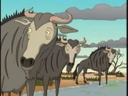 The Wild Thornberrys