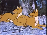DatK Dingoes.png (645 KB) Dot and the Kangaroo (1977)