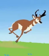 Pacer.jpg (13 KB) Wild Kratts