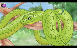 eastern green mamba creatures of the