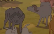 Fantasia 2000