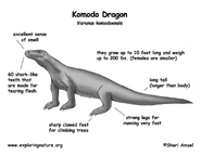 Komodo bw diagram.jpg (121 KB)