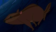 Pocahontas Chipmunk.png (203 KB) Pocahontas