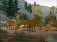 TWT Caribou.png (679 KB) The Wild Thornberrys