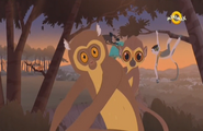 Wild Kratts