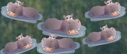 Animals United Hippo.png (483 KB) Animals United