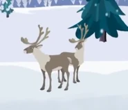 Caribou (Wild Kratts).png (294 KB) Wild Kratts