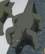 JEL Komodo Dragon.png (141 KB)