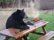 BBQ Anyone?