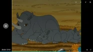 Go, Diego, Go!