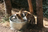 Bath Time
