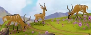 The Lion Guard