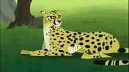 Wild Kratts