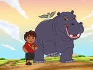 GDG! Hippo.png (260 KB)