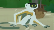 Wkanimals3.png (297 KB) Wild Kratts