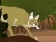 Wild Kratts