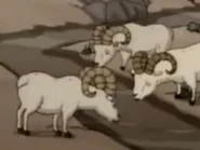 The Wild Thornberrys