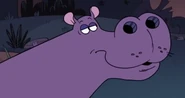 Cassegrandes Hippo.png (815 KB) The Cassegrandes