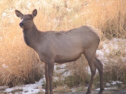 2975061596 80da552323 o