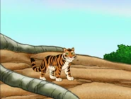 Go, Diego, Go!