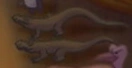 Fantasia 2000 Komodo Dragons.png (17 KB) Fantasia 2000