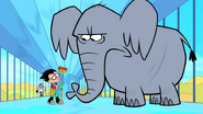 African-elephant-teen-titans-go