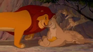 Lion-the-lion-king.jpg (213 KB)