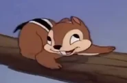 Chipmunk-donalds-camera.jpg (48 KB)