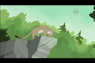 Wild Kratts