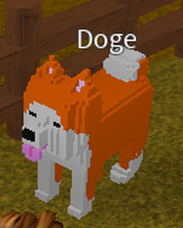 Doge Creatures Tycoon Wiki Fandom - doge simulator roblox wiki
