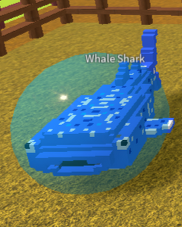 Whale Shark Creatures Tycoon Wiki Fandom - whale shark roblox