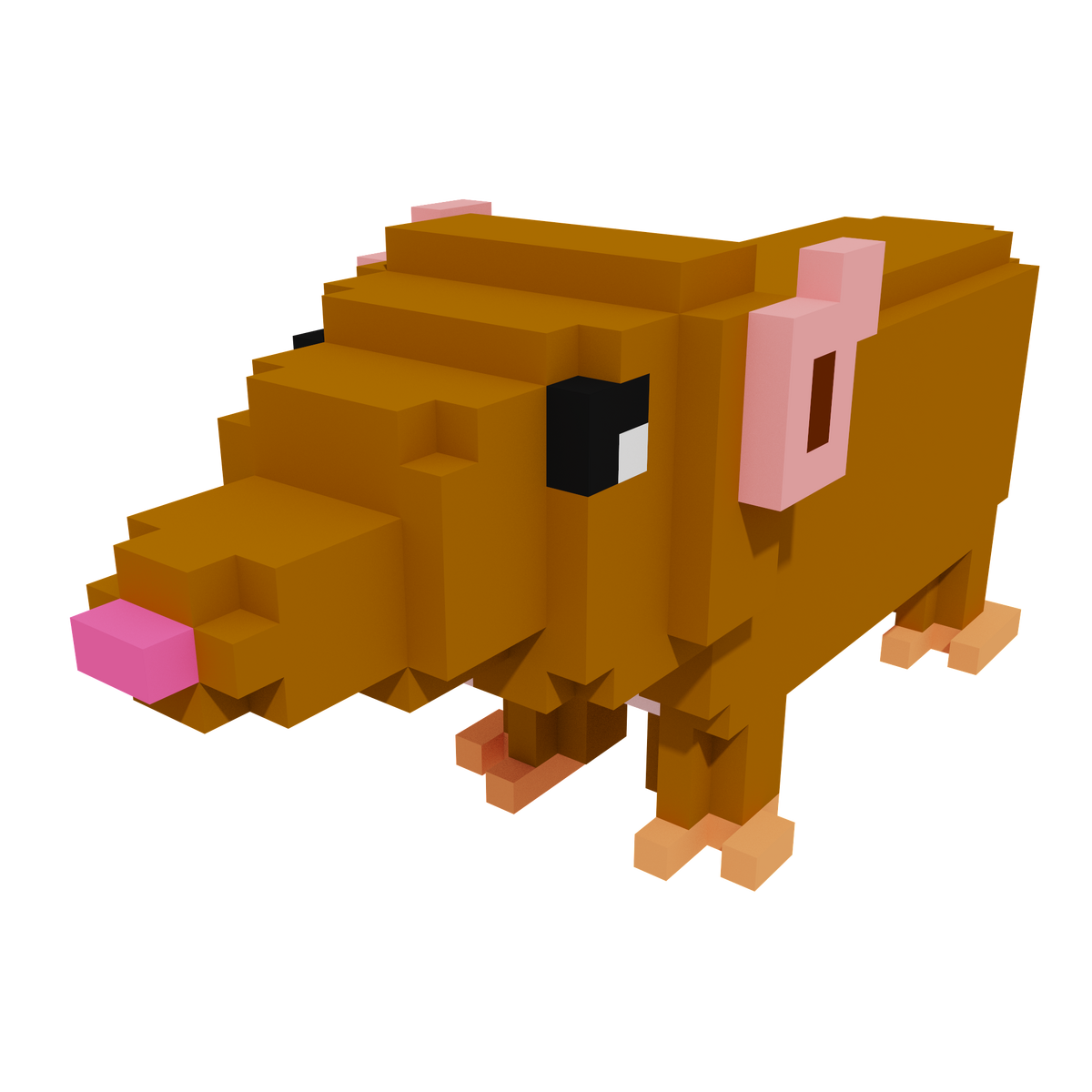 Short Tailed Gymnure Creatures Tycoon Wiki Fandom