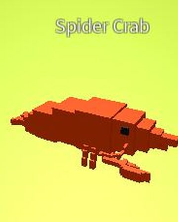 Spider Crab Creatures Tycoon Wiki Fandom - airship tycoon roblox codes