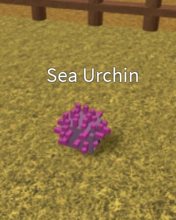 Sea Urchin Creatures Tycoon Wiki Fandom - roblox creatures tycoon wiki