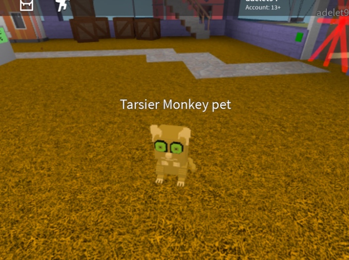 Tarsier Monkey Creatures Tycoon Wiki Fandom - monkey quest roblox edition roblox