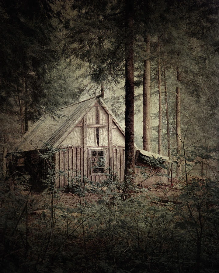 The Cabin | Creepy Folklore Wiki | Fandom