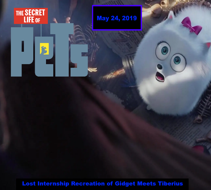 The secret life of pets 1 123movies store