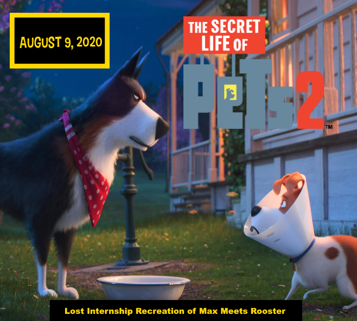 The Secret Life of Pets 2 Lost Internship Recreation of Max Meets Rooster Creepypasta Fanon Wiki Fandom