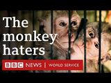 1 Monkey 1 Drill