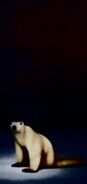 Polar bear 2026 third ART