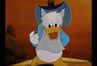 Download duck