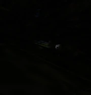 One of the most eerie picture and the person who seems to be behind the tree is 'claimed' to be Blank BLANK