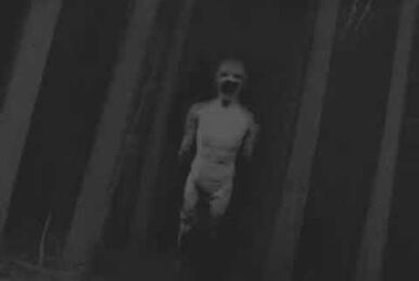 therake #creepypasta #story #creature