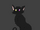 Cheshire CAT