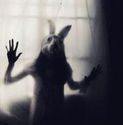 Rabbit-person