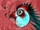 The Parrot