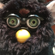 Black furby1